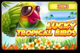 Lucky Tropical Birds(3x3)