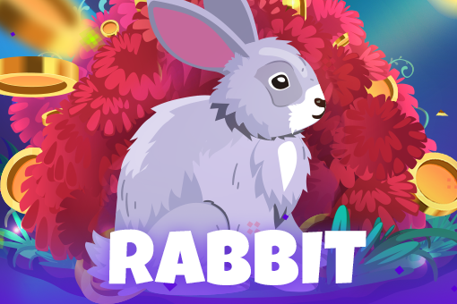Rabbit - Slotpesa - Tanzania