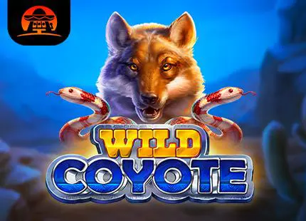 Wild Coyote - Slotpesa - Tanzania