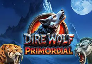 Dire Wolf - Slotpesa - Tanzania