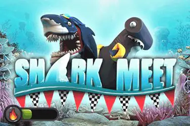Shark Meet - Slotpesa - Tanzania