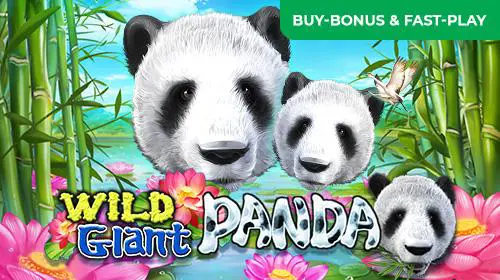 Wild Giant Panda - Slotpesa - Tanzania