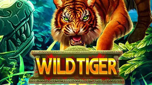 Wild Tiger - Slotpesa - Tanzania