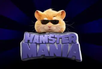 Hamster Mania - Slotpesa - Tanzania