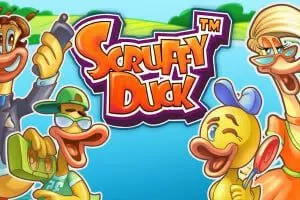 Scruffy Duck - Slotpesa - Tanzania