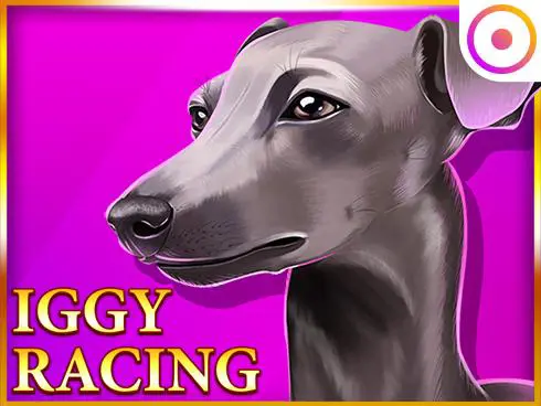 Iggy Racing - Slotpesa - Tanzania