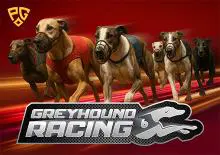 Greyhound Racing - Slotpesa - Tanzania