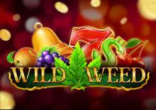 Wild Weed - Slotpesa - Tanzania