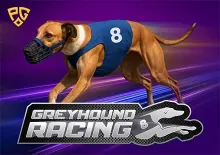 8 Greyhound Racing - Slotpesa - Tanzania