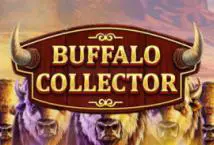 Buffalo Collector - Slotpesa - Tanzania