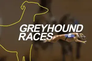 vDogs (Grayhound races) - Slotpesa - Tanzania