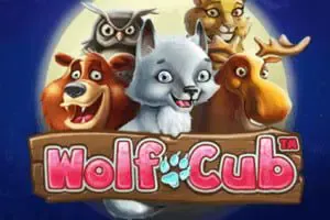 Wolf Cub - Slotpesa - Tanzania