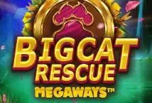 Big Cat Rescue Megaways - Slotpesa - Tanzania
