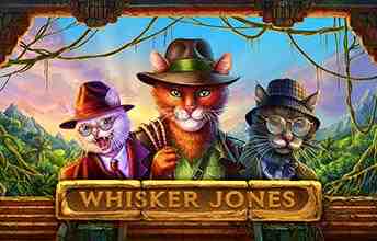 Whisker Jones