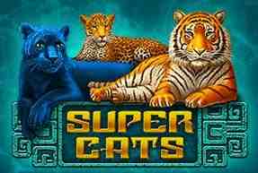 Super Cats