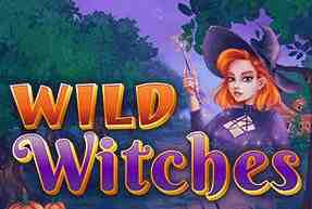 Wild Witches