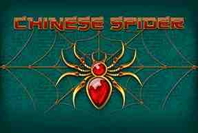 Chinese Spider