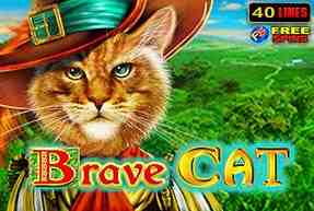 Brave Cat