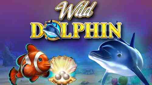 Wild Dolphin