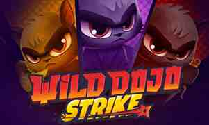 Wild Dojo Strike