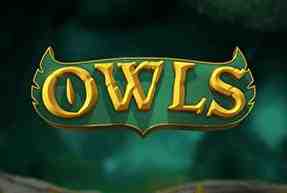 Owls Mobile