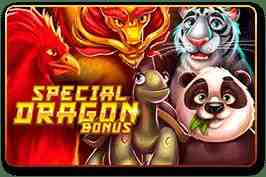 Special Dragon Bonus