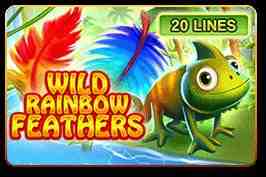 Wild Rainbow Feathers