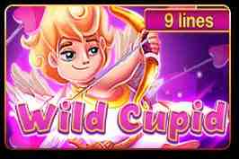 Wild Cupid