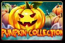 Pumpkin Collection