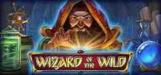 Wizard of the Wild