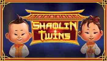 Shaolin Twins