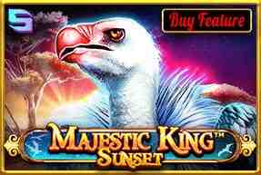 Majestic King - Sunset