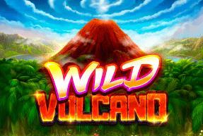 Wild Volcano