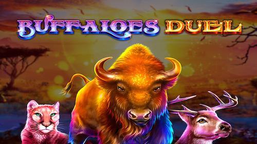 Buffaloes Duel