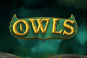 Owls Mobile
