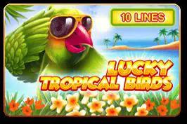 Lucky Tropical Birds