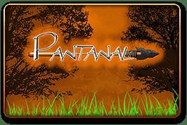 Pantanal