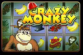 Crazy Monkey