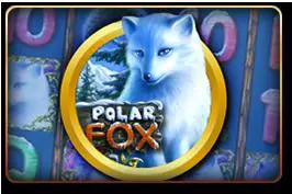 Polar Fox