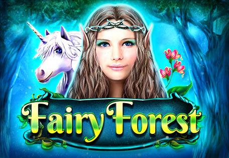 Fairy Forest