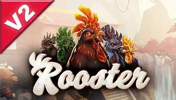 Rooster