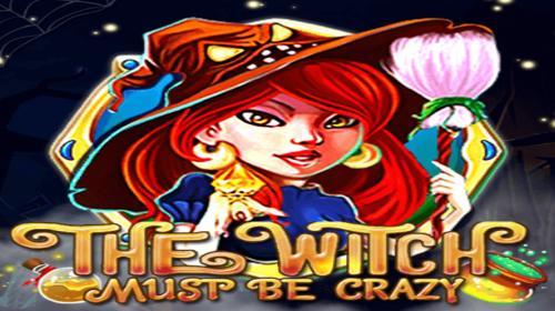 TheWitchMustBeCrazy