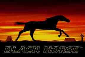 Black Horse™ Mobile