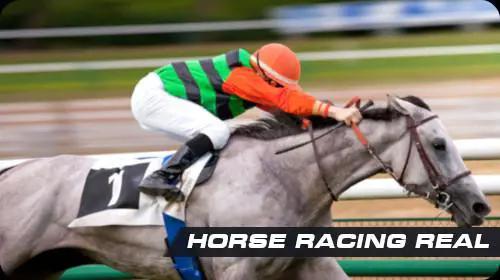 Horse racing real