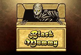 Black Mummy Dice