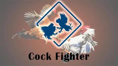 virtual cock fighter