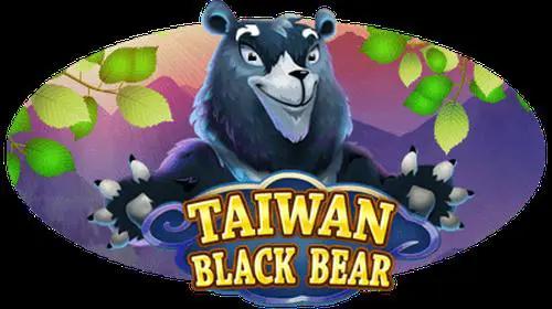 Taiwan Black Bear
