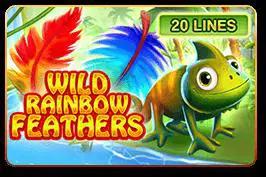 Wild Rainbow Feathers