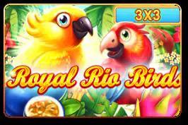 Royal Rio Birds (3x3)