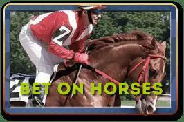 Bet on Horses